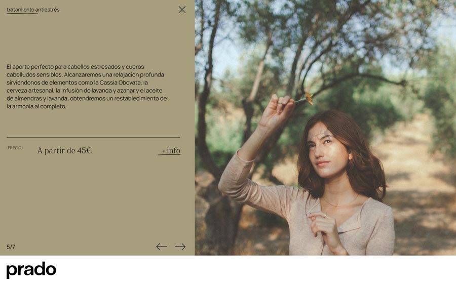 diseño gráfico web malaga javascript prado